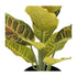 Kopu® set 3 verschillende kunstplantjes 25 cm hoog