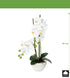 Kopu® Kunstbloem Orchidee 50 cm Wit met cement Sierpot - Phalenopsis