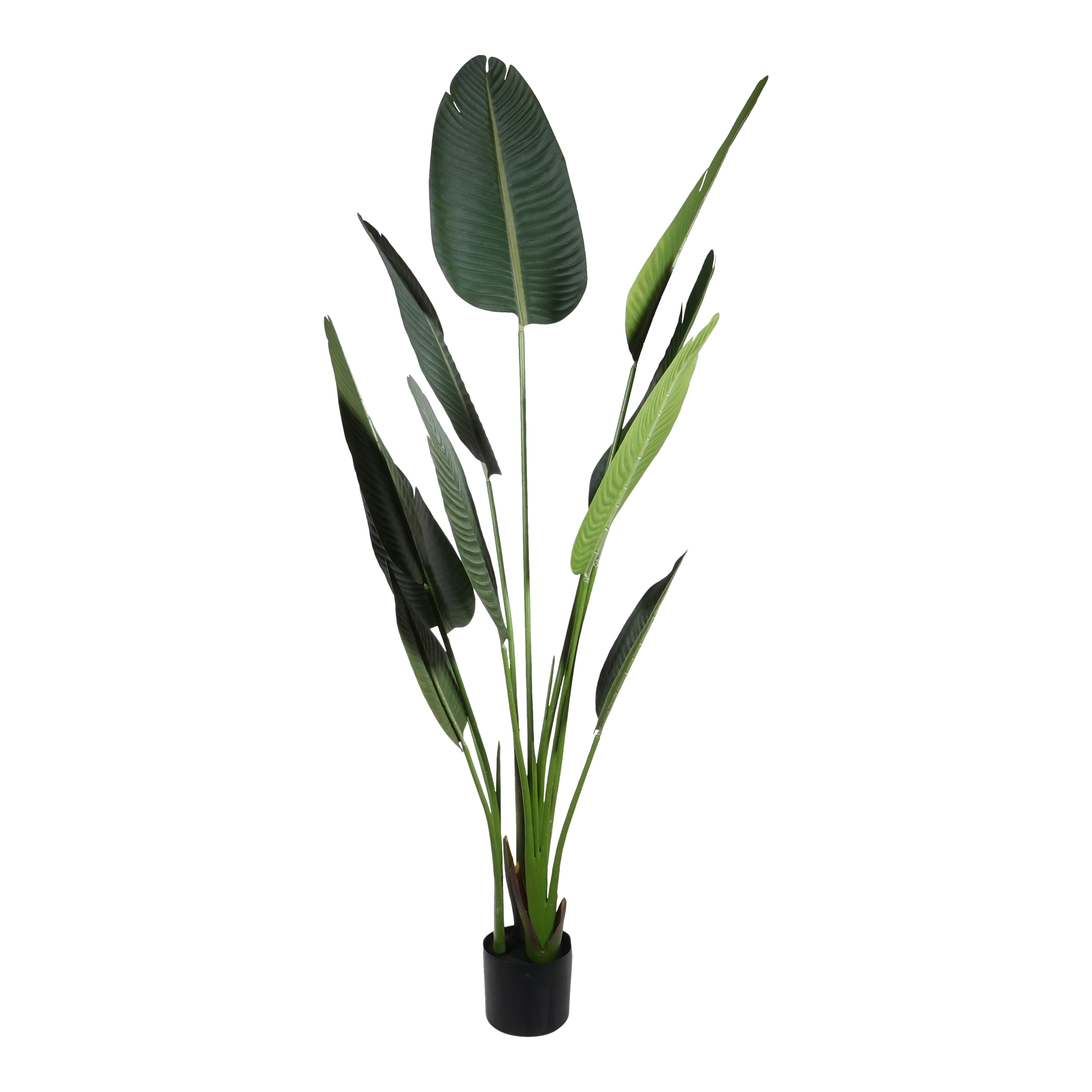 Kopu® Kunstplant Strelitzia Nicolai 160 cm Paradijsvogelplant 10 blad