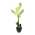 Kopu® Kunstbloem Orchidee 65 cm Groen met zwarte Schaal - Phalenopsis