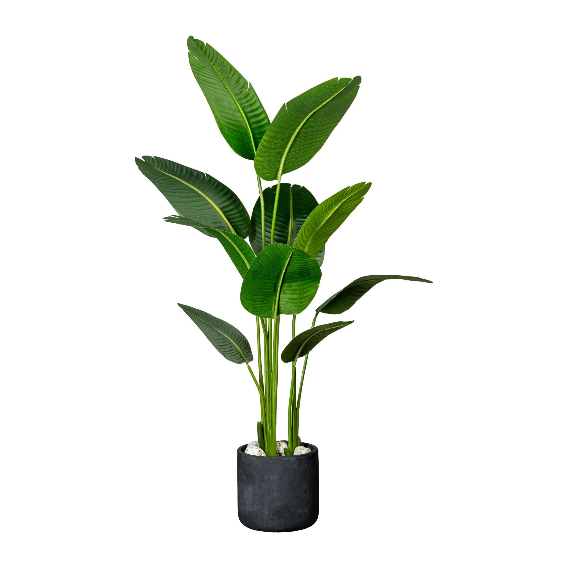 Kopu® Kunstplant Strelitzia Nicolai 160 cm Paradijsvogelplant 10 blad
