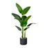 Kopu® Kunstplant Strelitzia Nicolai 160 cm Paradijsvogelplant 10 blad
