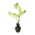 Kopu® Kunstbloem Orchidee 65 cm Groen met zwarte Schaal - Phalenopsis