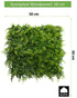 Kopu® kunstplant UV Bestendig Wandpaneel Planten mat 50x50x7 cm Varens
