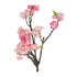 Kopu® Kunstblume Kirschblütenzweig 2 Stück 84 cm - Blütenzweige Rosa