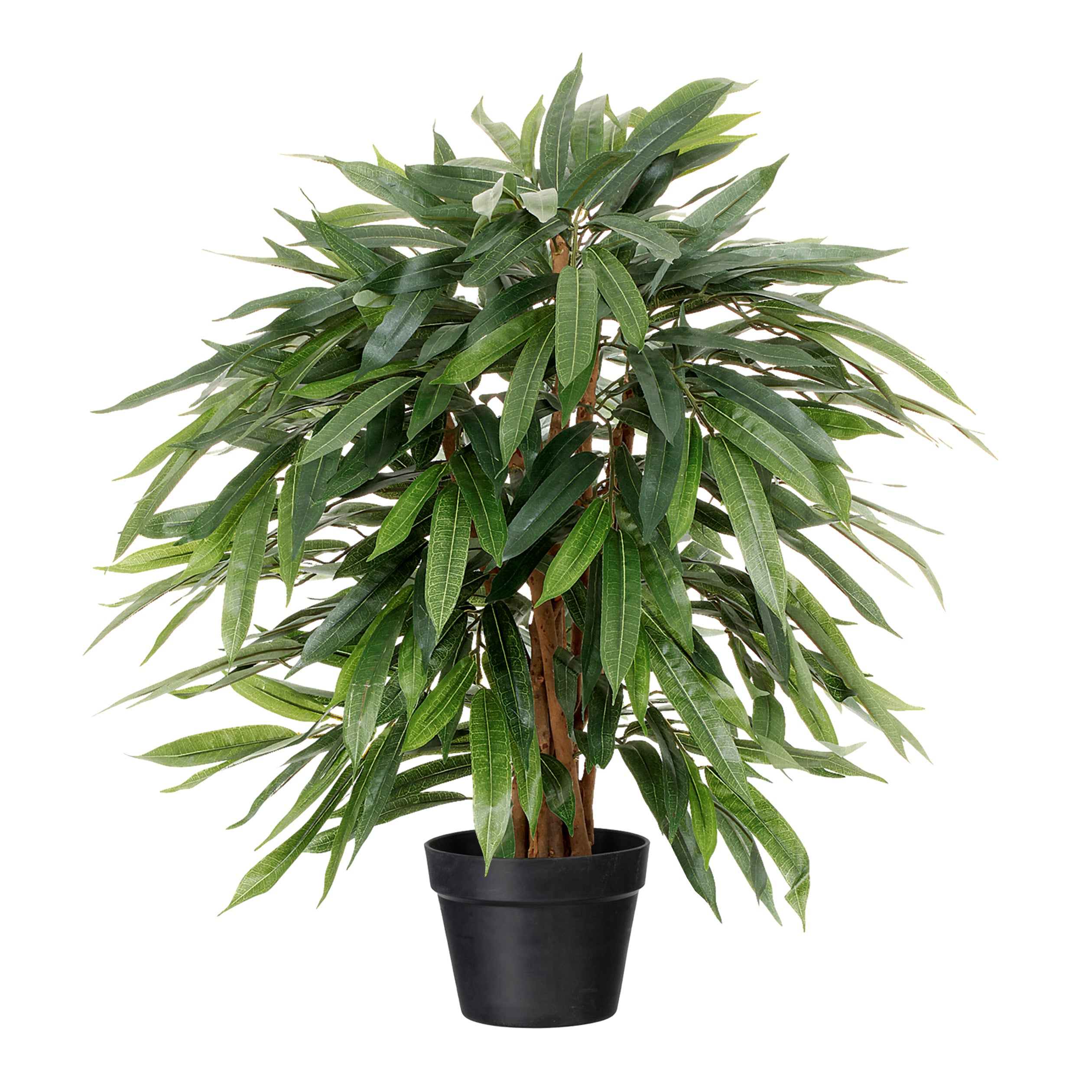 Kopu® Kunstpflanze Ficus Benjamina 80 cm im schwarzen Topf – Kunstpflanze