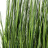 Kopu® Kunstgras Roomdivider 120 cm - Nepgras Kamerverdeler