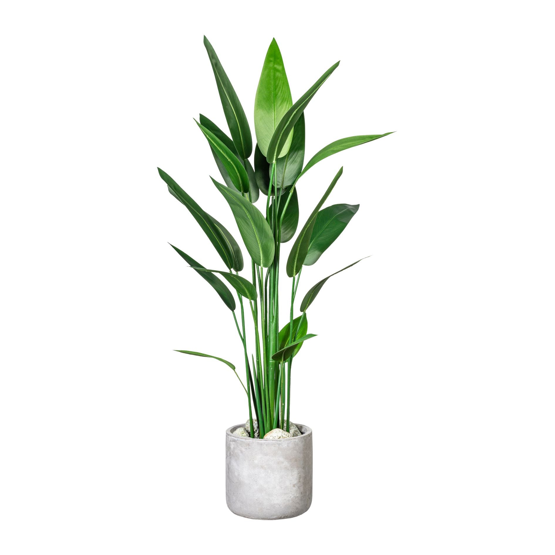 Kopu® Kunstpflanze Canna 140 cm 20 Blätter - im schwarzen Topf - Blumenschilf