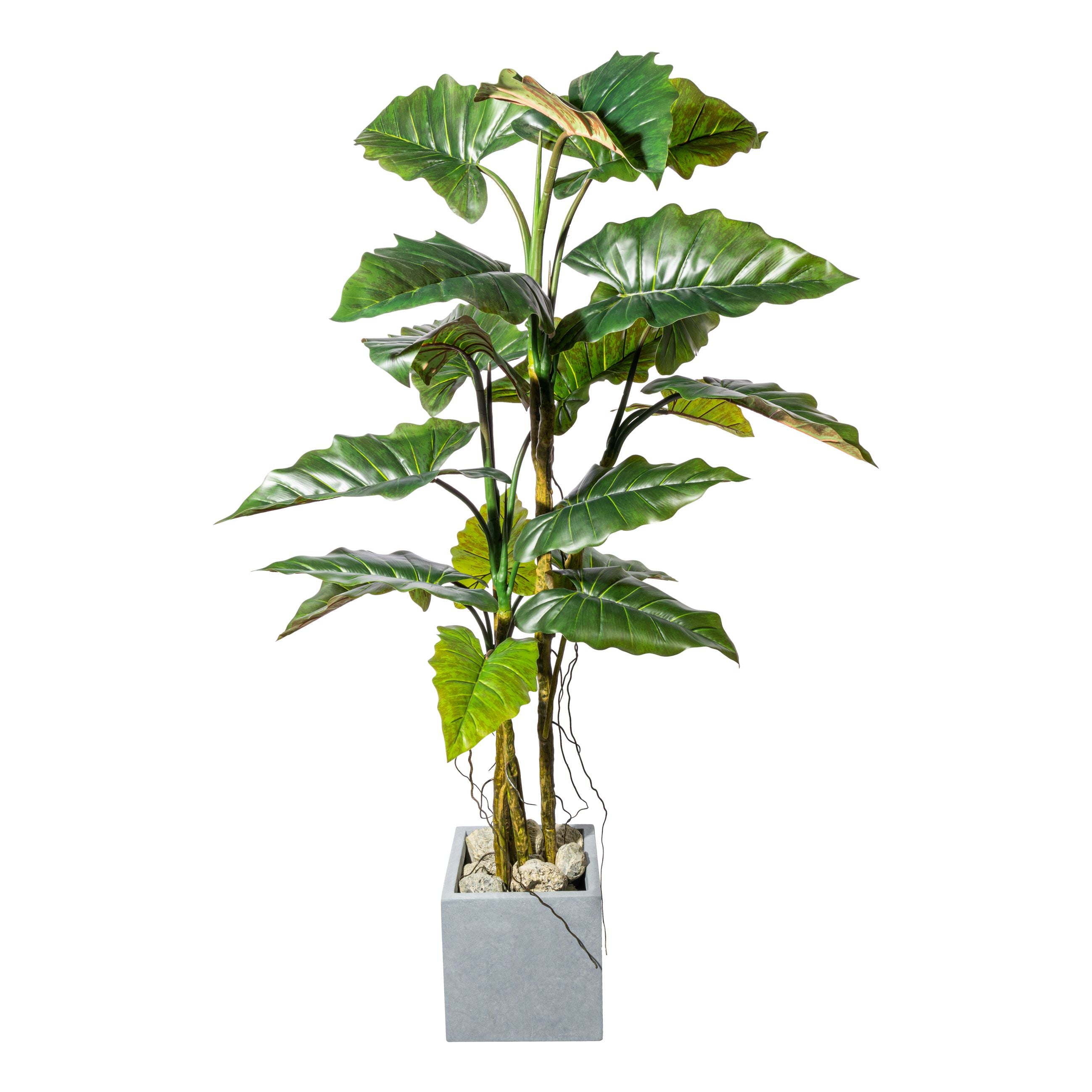 Kopu® Kunstpflanze Colocasia 180 cm - 19 Blätter - im schwarzen Topf