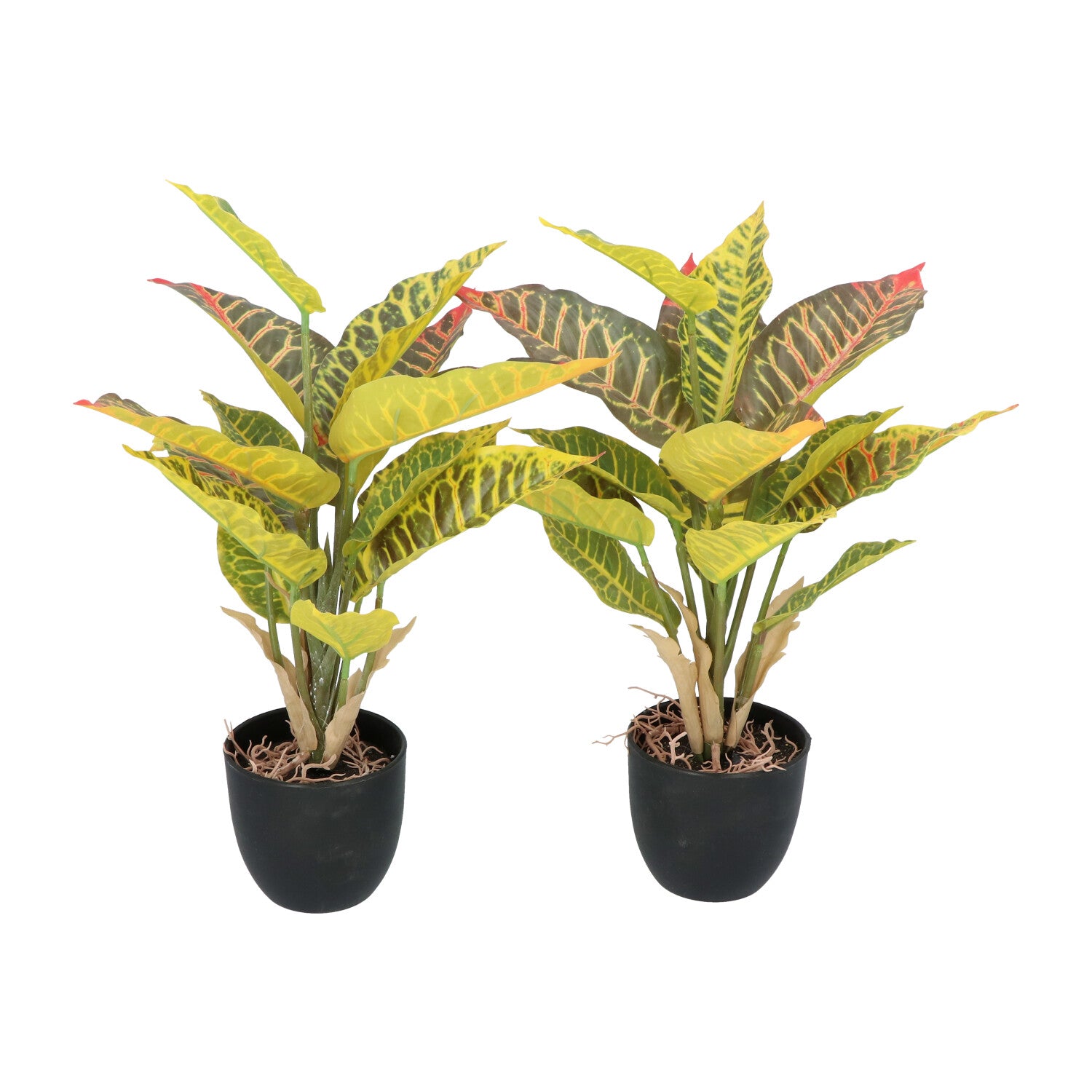 Kopu® 2 Stück Kunstpflanze Croton 35 cm - 14 Blätter - im schwarzen Topf