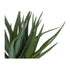 Kopu® Kunstpflanze Aloe Vera 48 cm im Innentopf mit Erde - 30 Blätter