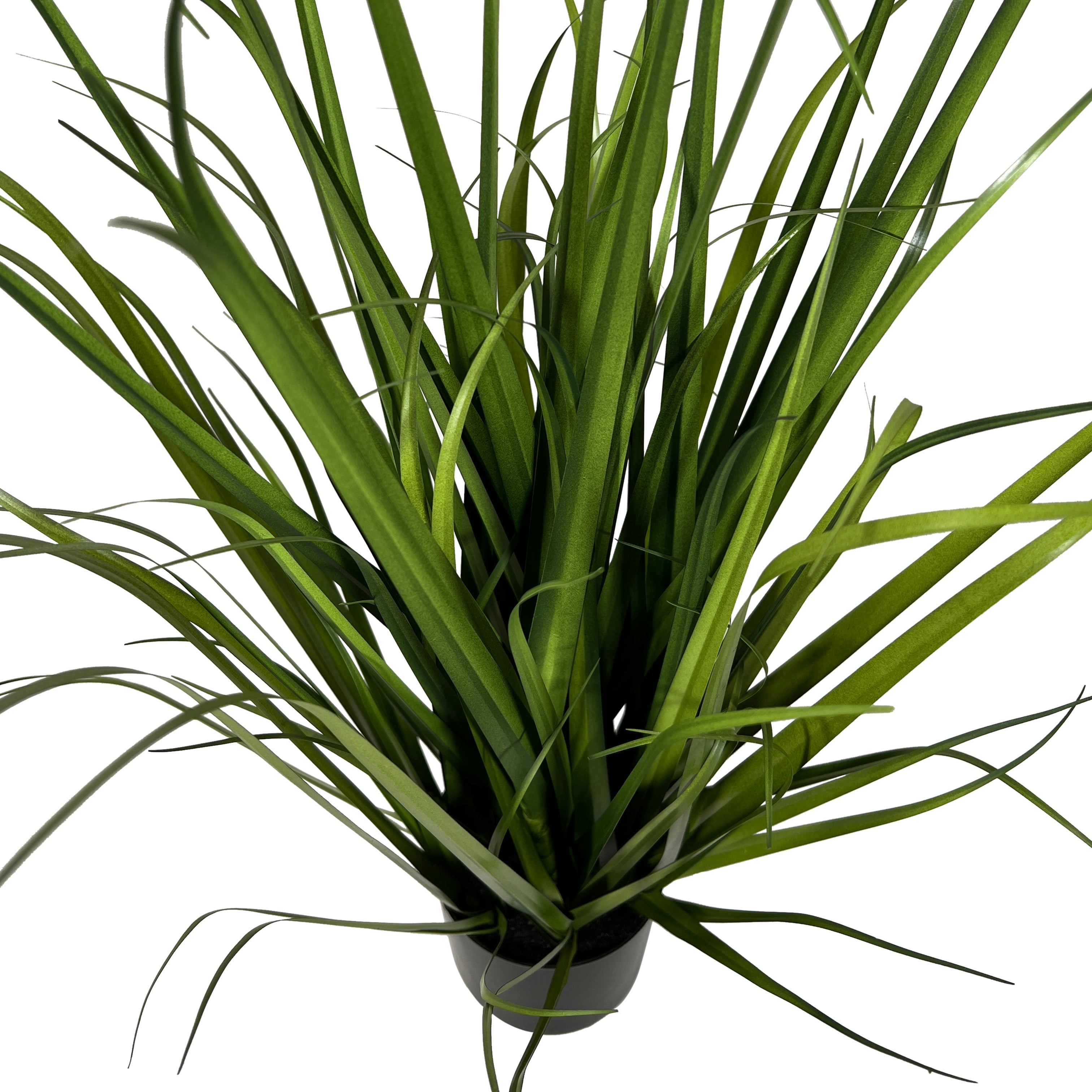 Kopu® Kunstplant Miscanthus 78 cm - in zwarte pot - Nepgras