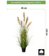 Kopu® Kunstplant Pluimgierst 122 cm - 5 halmen - in zwarte pot