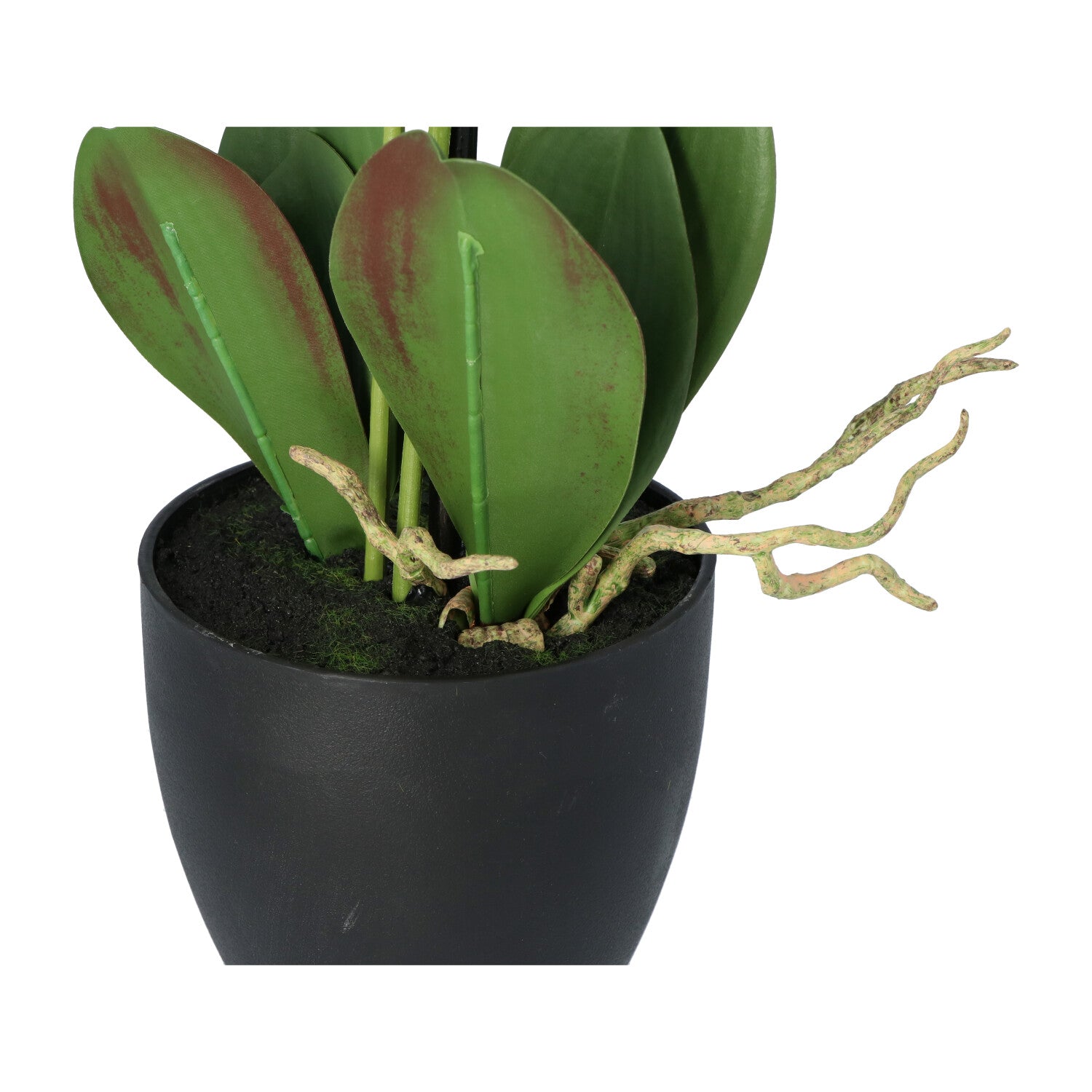 Kopu® Kunstbloem Orchidee 65 cm Wit met zwarte Pot - Phalenopsis