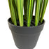 Kopu® Kunstplant Grasplant 120 cm - in zwarte pot - Nepplant