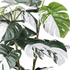 Kopu® Kunstplant Monstera Variegata 110 cm - 38 bladeren - Gatenplant