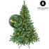 Kerstboom Excellent Trees® LED Stavanger Green 210 cm met verlichting - nu met Opbergtas t.w.v. € 27.95