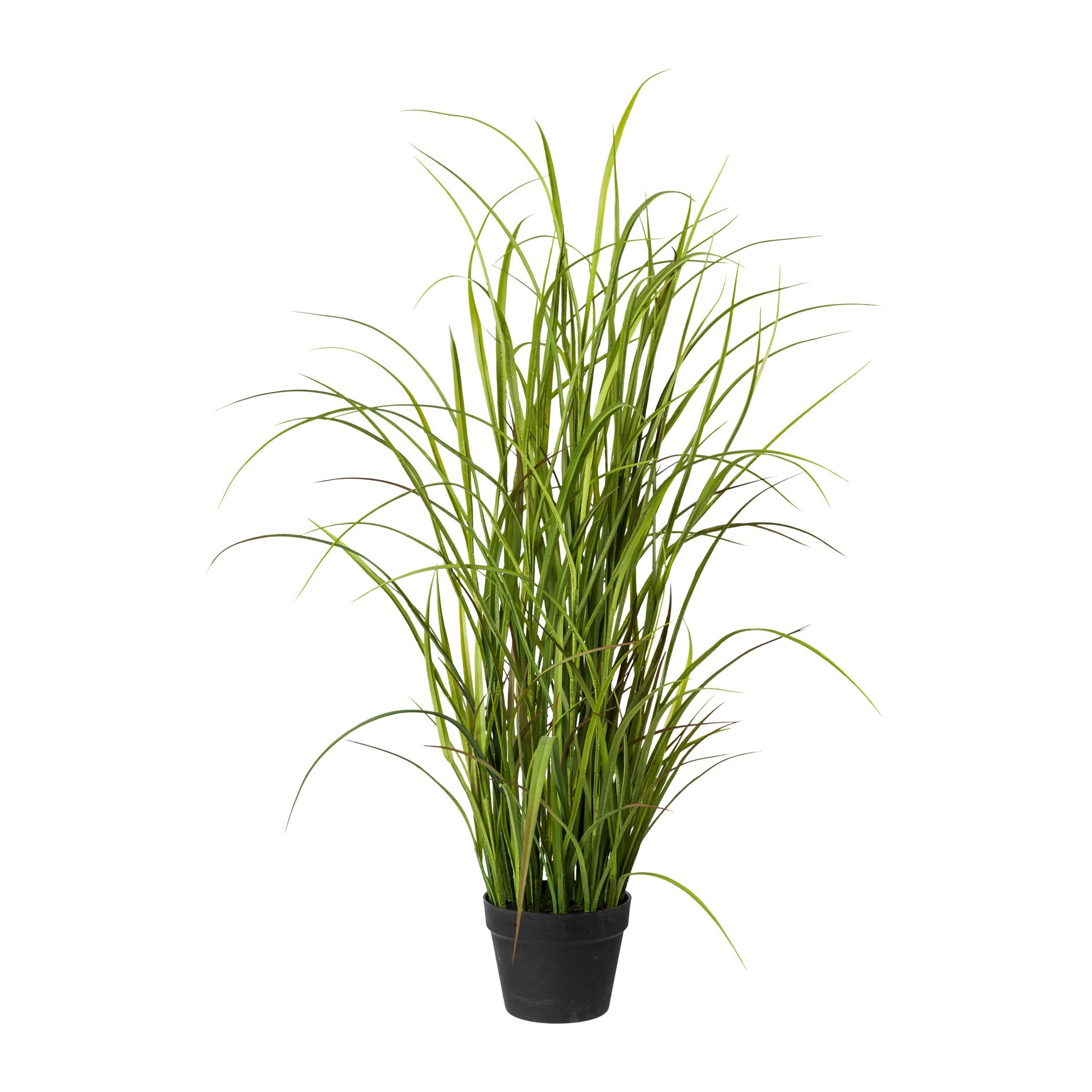 Kopu® Kunstpflanze Graspflanze 120 cm - im schwarzen Topf - Kunstpflanze