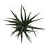 Kopu® Kunstpflanze Aloe Vera 48 cm im Innentopf mit Erde - 30 Blätter