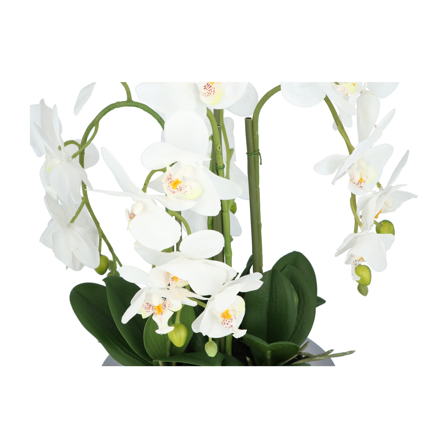 Kopu® Kunstplant Orchidee 4 takken 41cm in Zilveren Schaal  - Wit