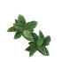 Kopu® 2 stuks Kunstplant Aglaonema 35 cm - 14 bladeren - in zwarte pot