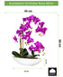 Kopu® Kunstbloem Orchidee 60 cm Roze met Schaal Ovaal - Phalaenopsis
