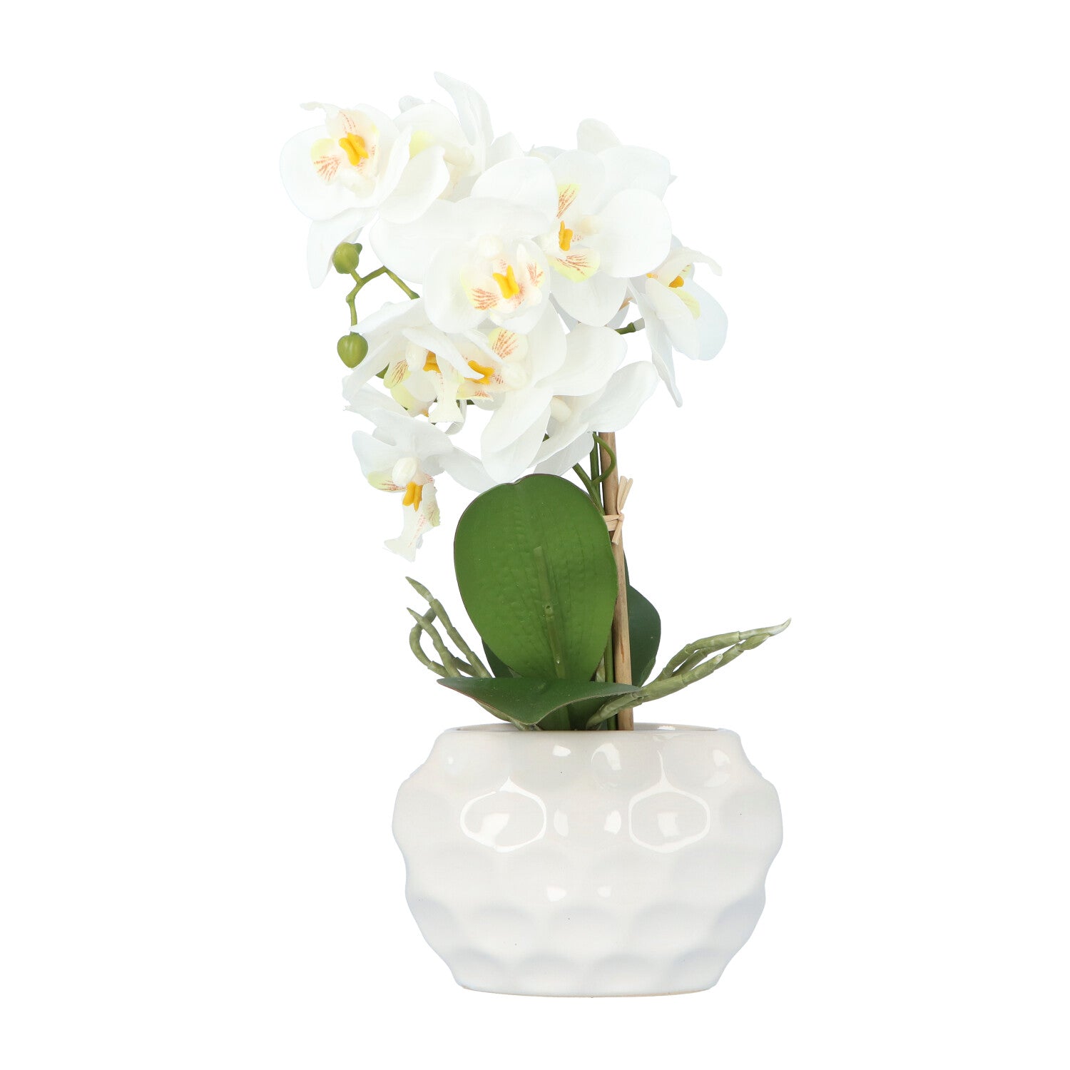 Kopu® Kunstplant Orchidee 33 cm in witte Sierpot 13x9cm - Wit