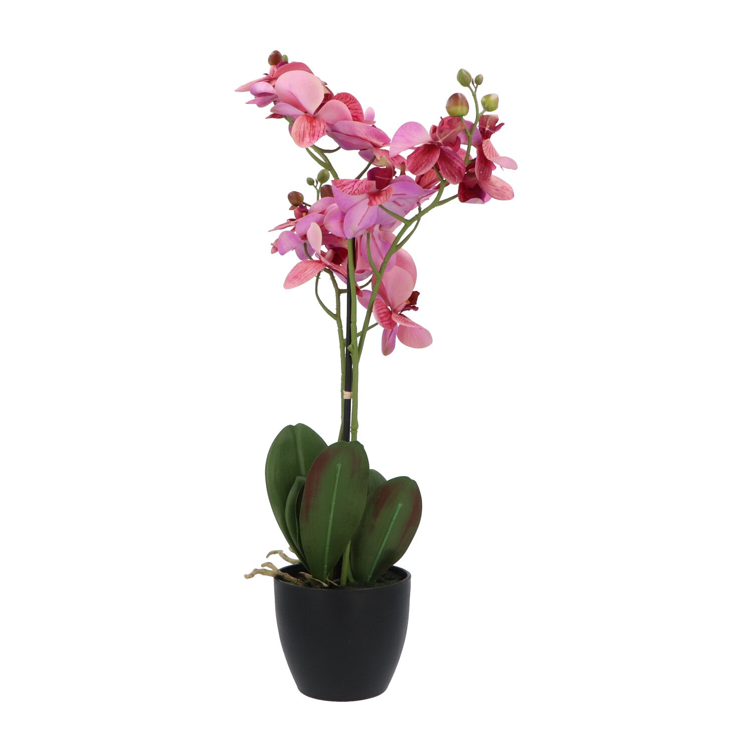 Kopu® Kunstbloem Orchidee 65 cm Lila met zwarte Sierpot - Phalenopsis