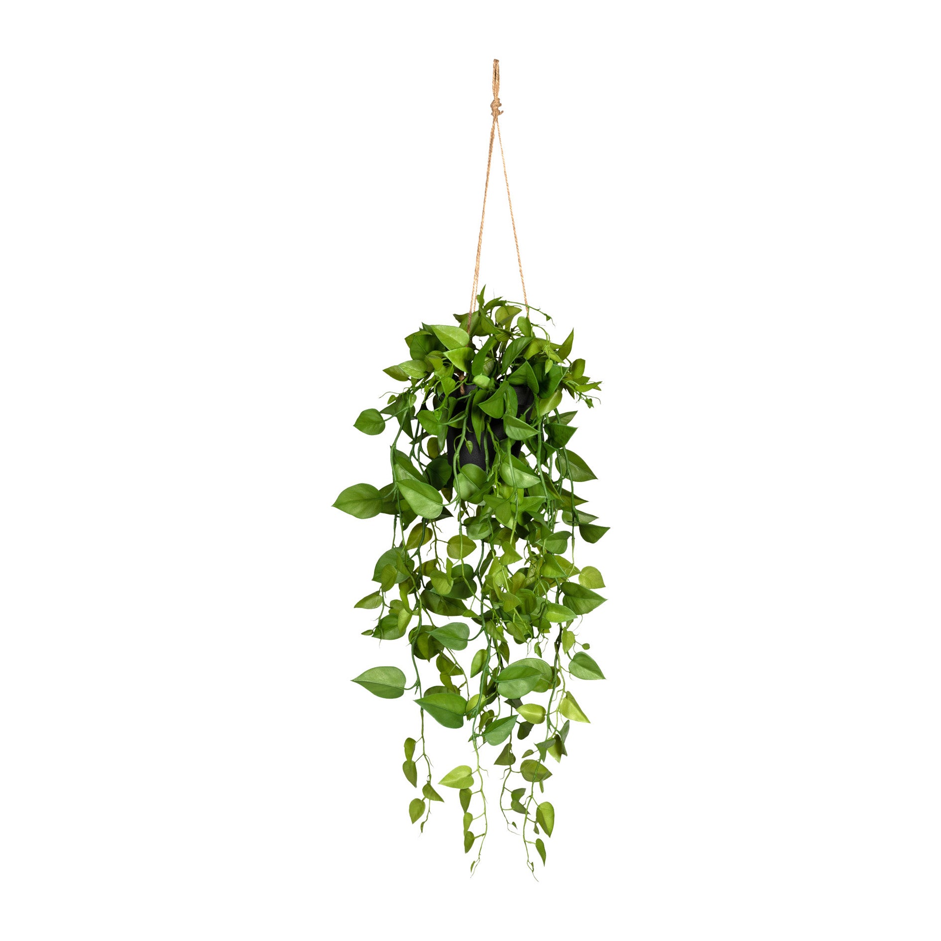 Kopu® Hangplant Philodendron 75 cm - Macramé Plantenhanger met Pot