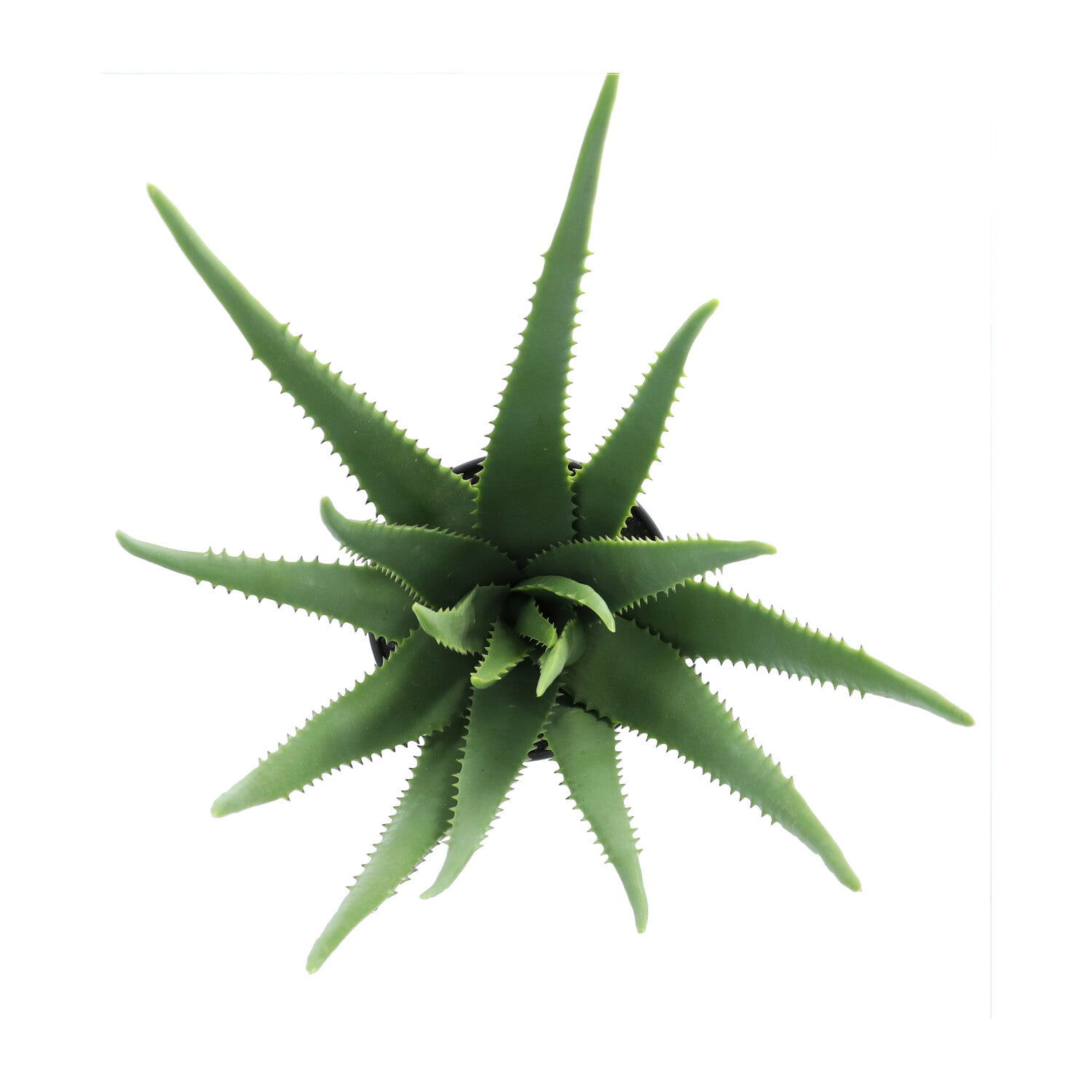 Kopu® Kunstplant Aloe Vera 55 cm in zwarte Bloempot - 17 bladeren