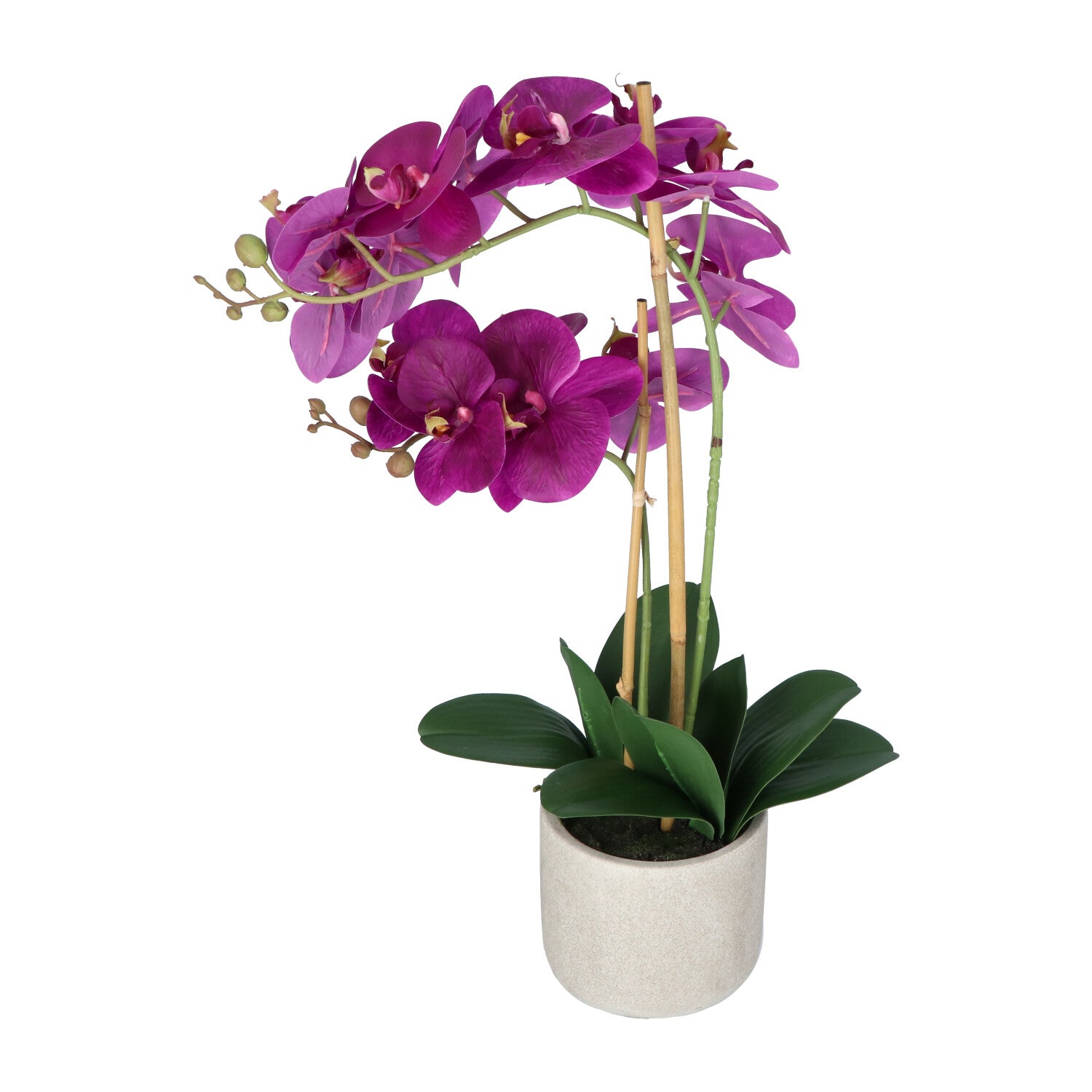 Kopu® Kunstbloem Orchidee 60 cm Lila - cement Sierpot - Phalenopsis
