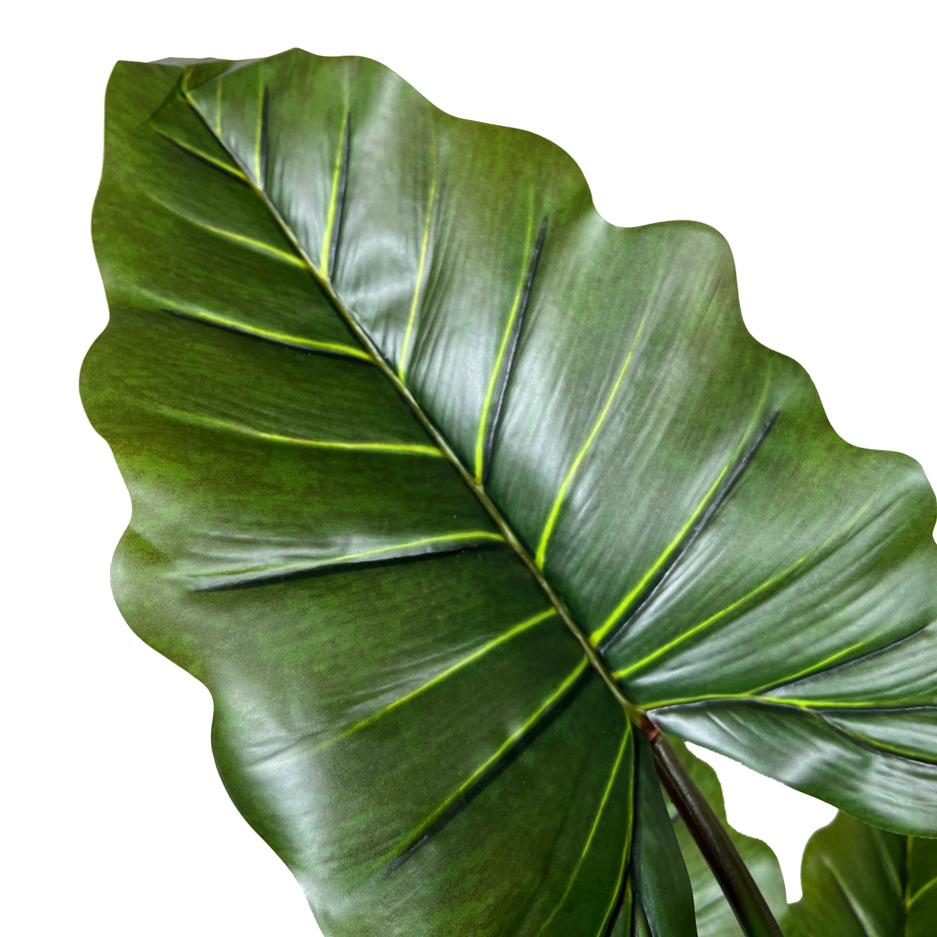 Kopu® Kunstpflanze Colocasia 140 cm - 8 Blätter - im schwarzen Topf