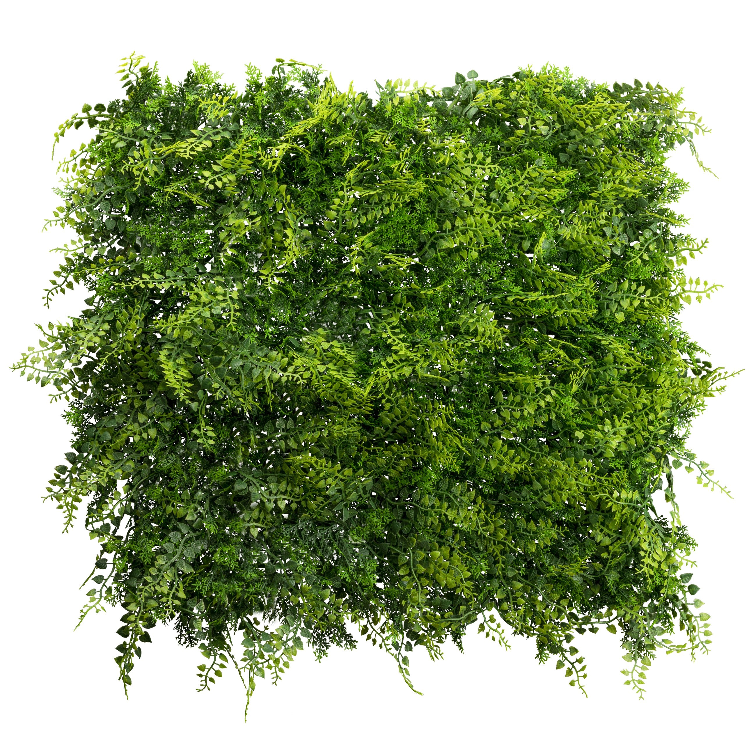 Kopu® kunstplant UV Bestendig Wandpaneel Planten mat 50x50x7 cm Varens