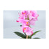 Kopu® Kunstplant Orchidee 33 cm in witte Sierpot 13x9cm - Roze