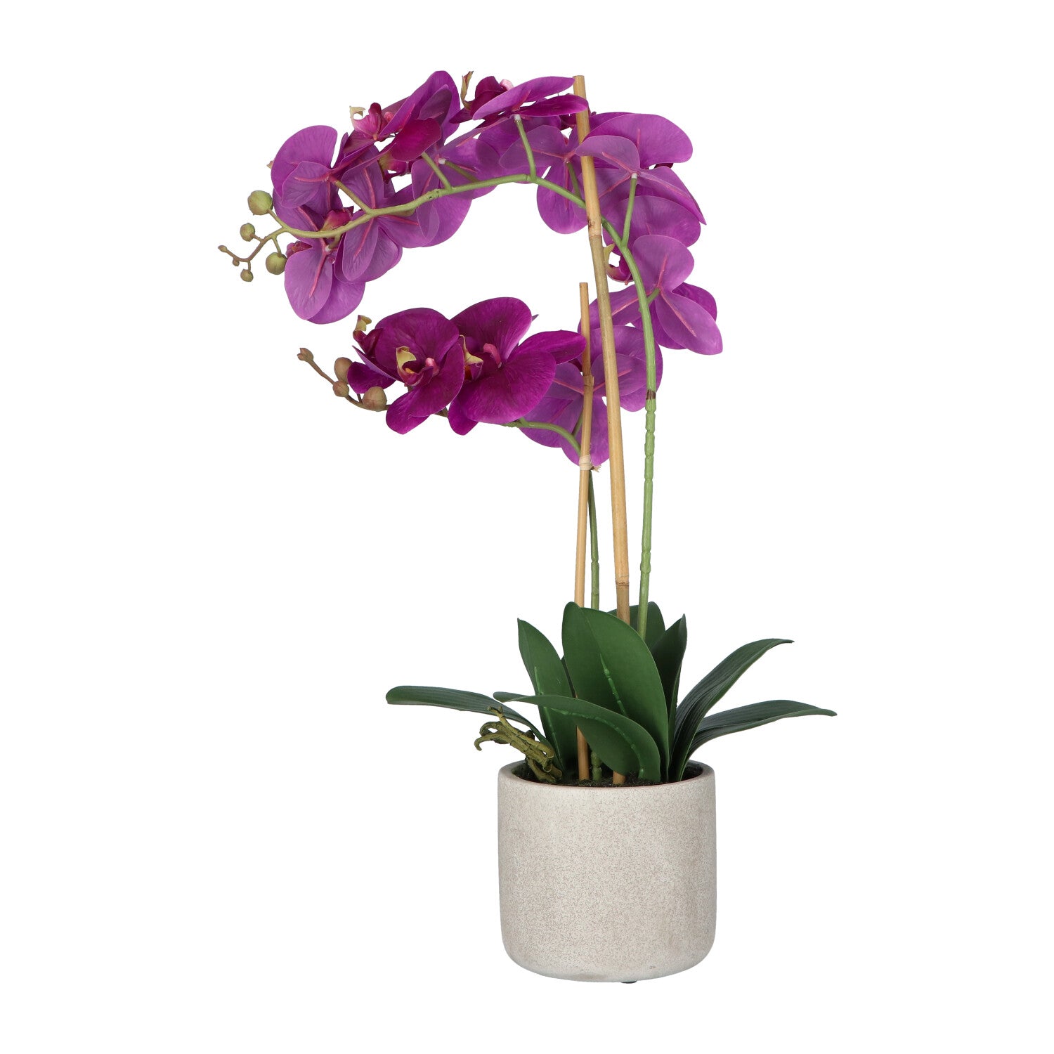 Kopu® Kunstbloem Orchidee 60 cm Lila - cement Sierpot - Phalenopsis