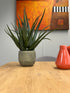Kopu® Kunstpflanze Aloe Vera 48 cm im Innentopf mit Erde - 30 Blätter