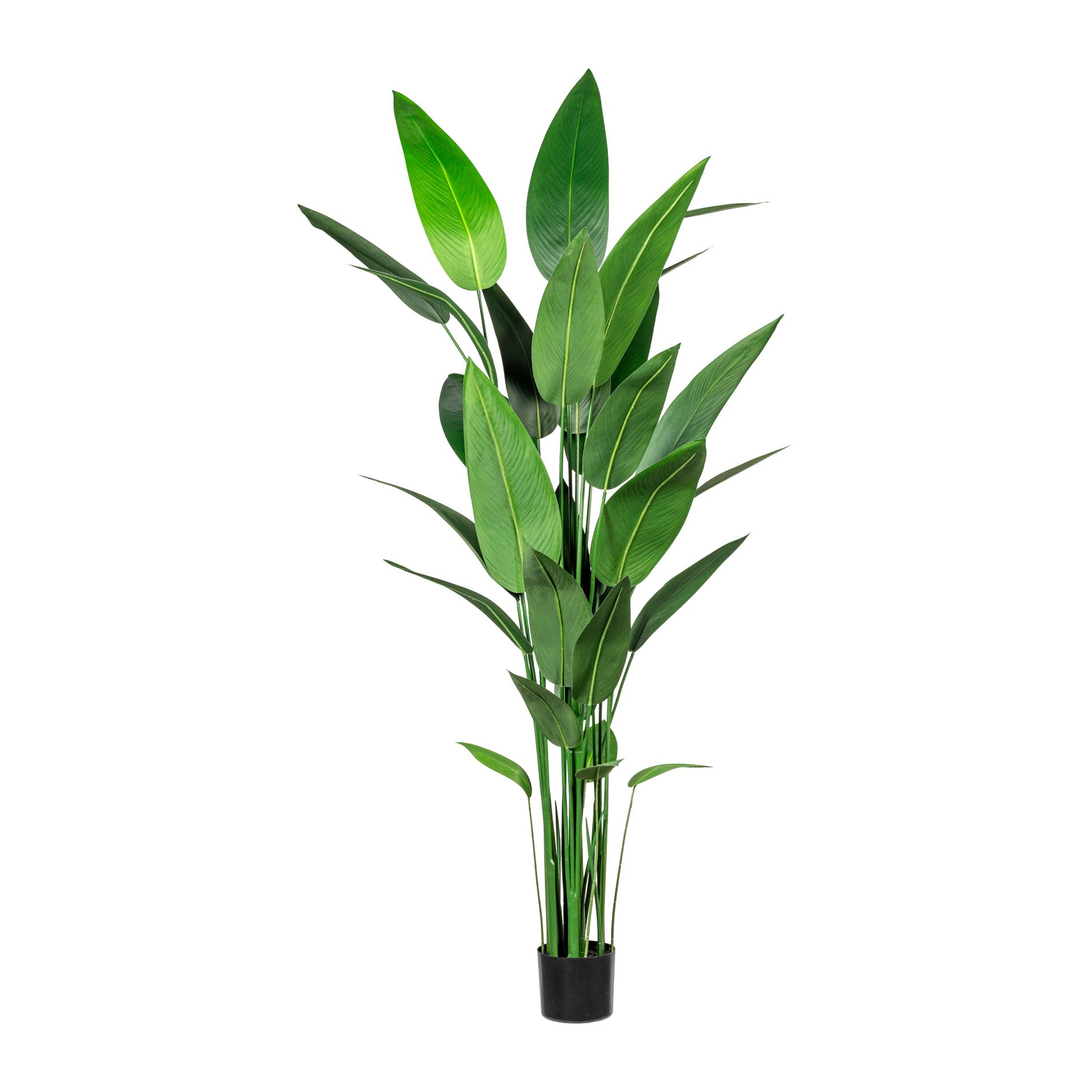 Kopu® Kunstpflanze Canna 210 cm 32 Blätter - im schwarzen Topf - Blumenschilf