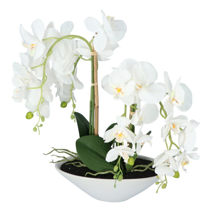 Kopu® Kunstbloem Orchidee 53 cm Wit met Schaal Ovaal - Phalenopsis