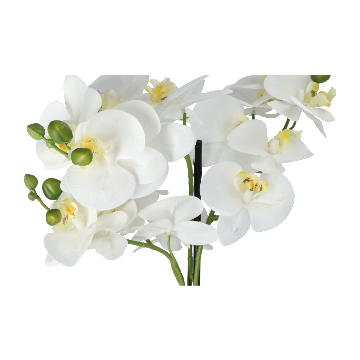 Kopu® Kunstbloem Orchidee 65 cm Wit met zwarte Pot - Phalenopsis