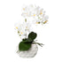 Kopu® Kunstplant Orchidee 33 cm in witte Sierpot 13x9cm - Wit
