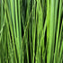 Kopu® Kunstplant Roomdivider 85 cm - in bak - Nepgras Kamerverdeler