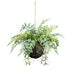 Kopu® Kunstplant BOL met diverse Varen Hangplanten 25 cm - Groen