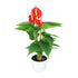 Kopu® 2 stuks Anthurium Kunstplant 40 cm - 3 bloemen - Flamingoplant
