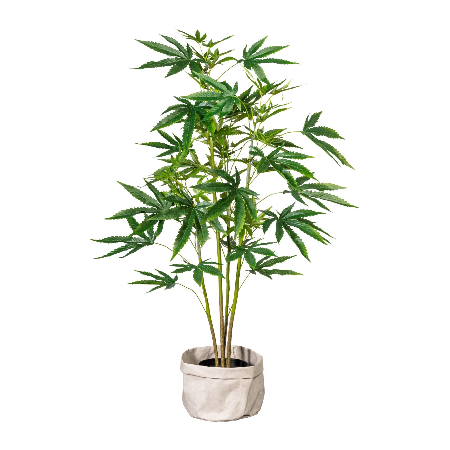 Kopu® Kunstplant Hennep 90 cm met zwarte Pot - 73 bladeren