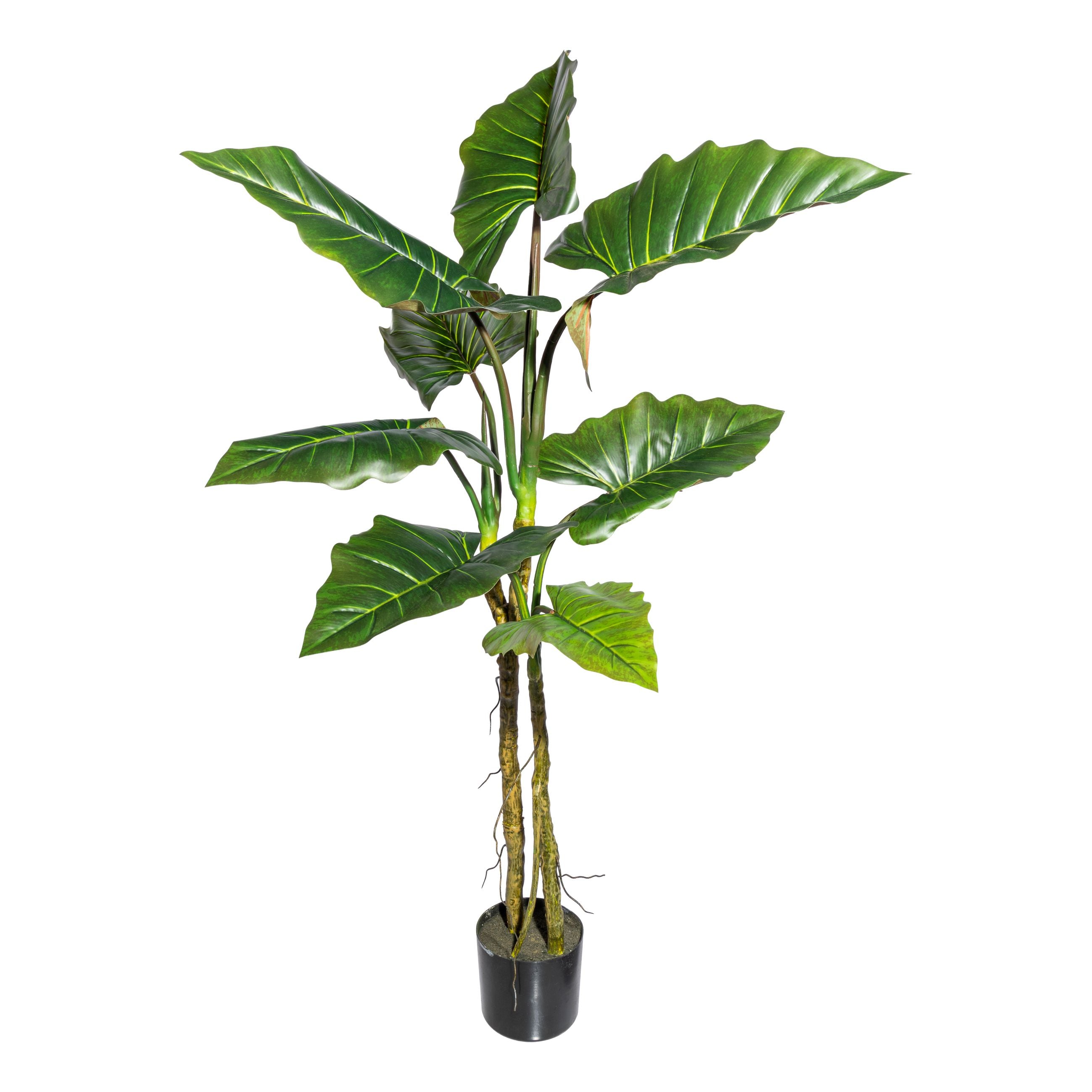 Kopu® Kunstpflanze Colocasia 140 cm - 8 Blätter - im schwarzen Topf