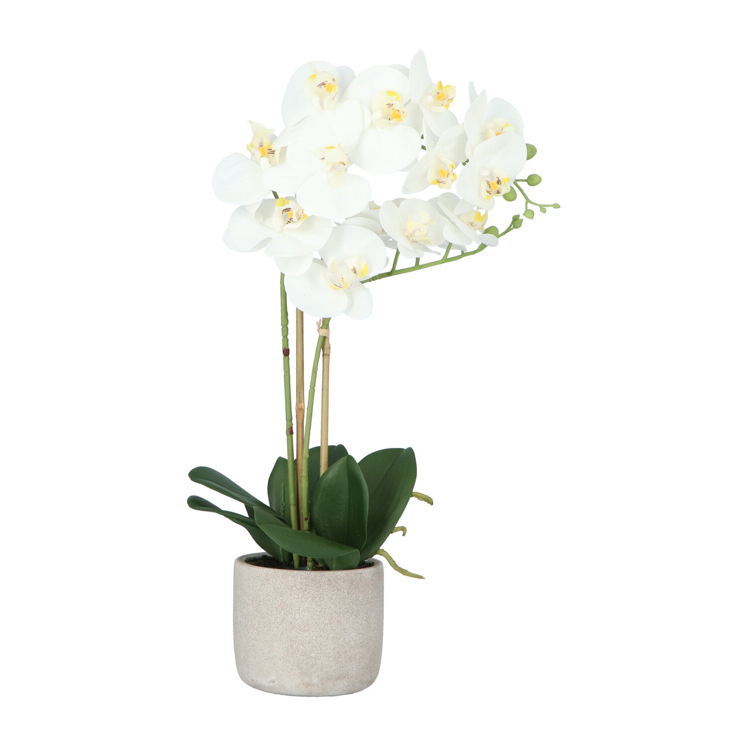 Kopu® Kunstbloem Orchidee 60 cm Wit met cement Sierpot - Phalenopsis