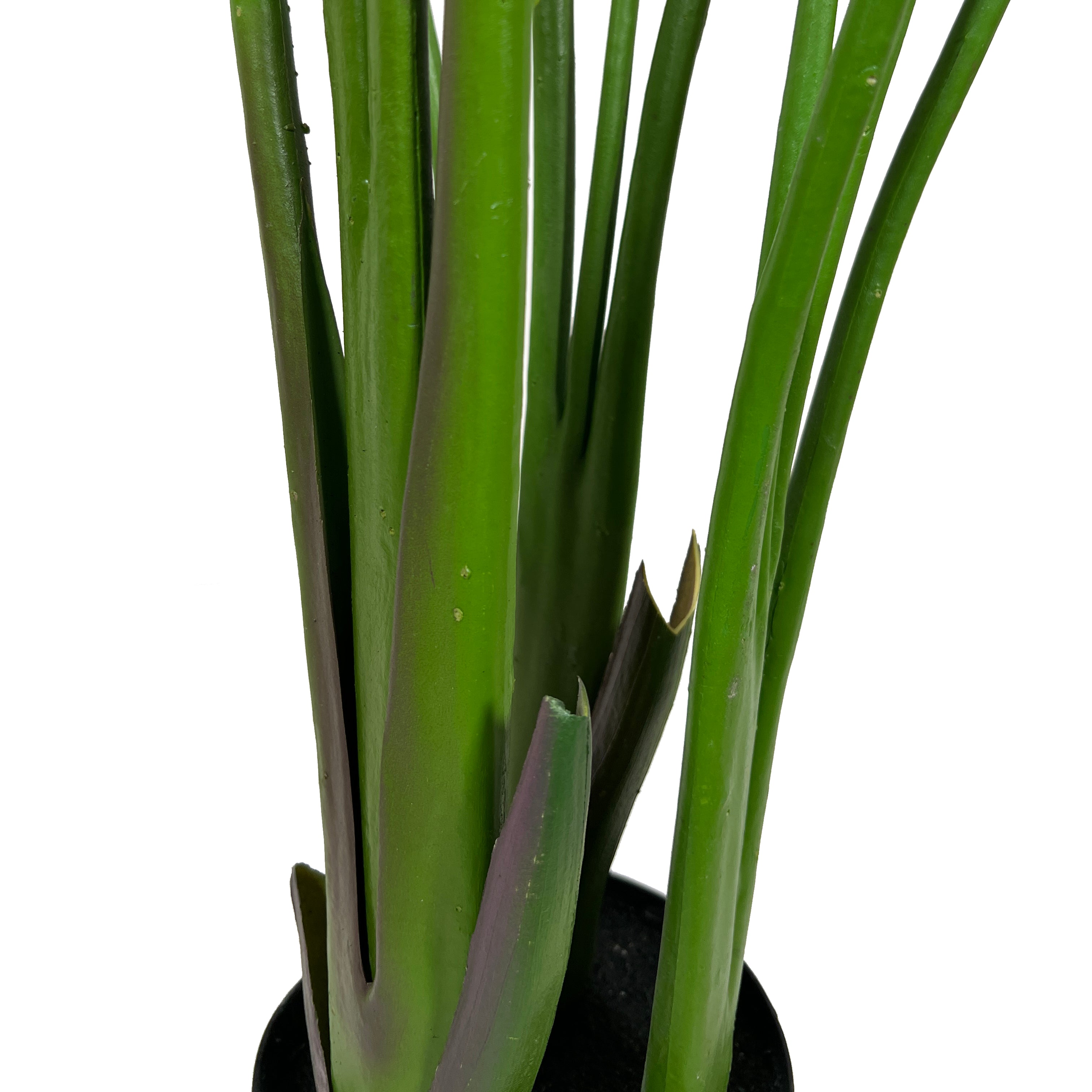 Kopu® Kunstplant Strelitzia Nicolai 160 cm Paradijsvogelplant 10 blad