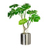Kopu® Kunstplant Split Philodendron 75 cm - 8 bladeren - Nepplant