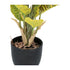 Kopu® 2 stuks Kunstplant Croton 35 cm - 14 bladeren - in zwarte pot